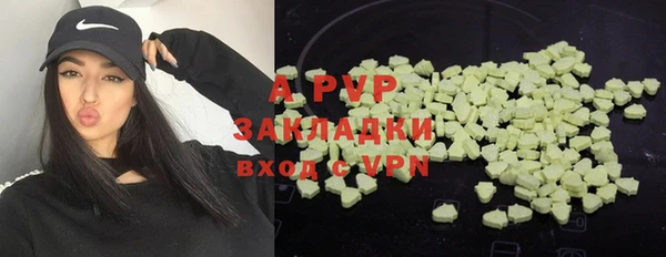 спиды Магадан