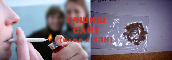 шишки Магас