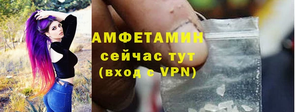 шишки Магас